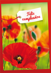 Feliz Cumpleaños