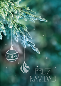 Feliz Navidad