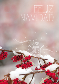 Feliz Navidad